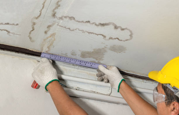 Reliable Basement Water Removal contractor in South Milwaukee, WI by Water Damage Irwin